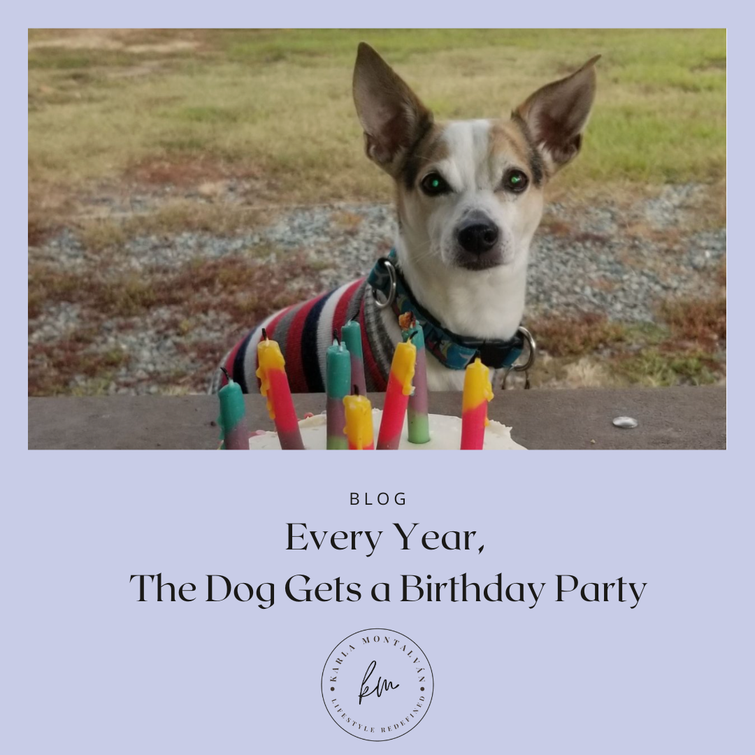 Every Year the Dog Gets a Birthday Party